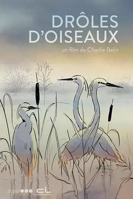 久久久久北条麻妃免费看